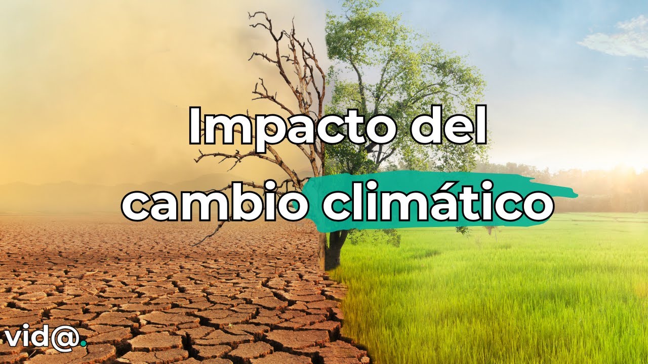cambios irreversibles en la naturaleza