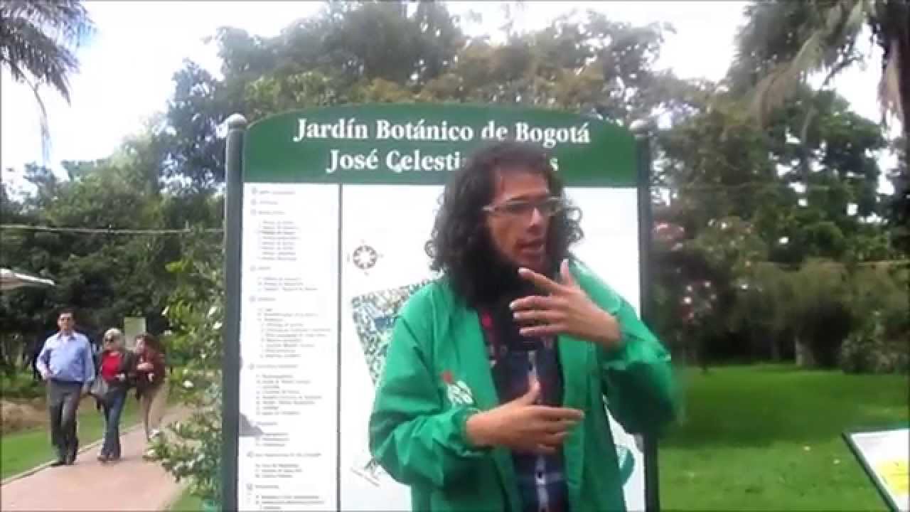 flora y fauna de frio