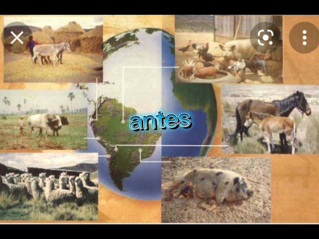 la flora y fauna de america del sur