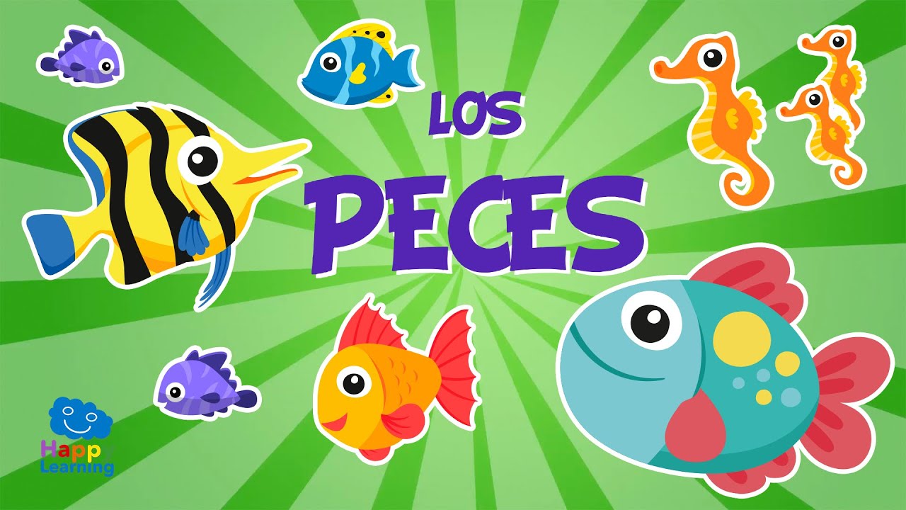 partes de los peces para niños