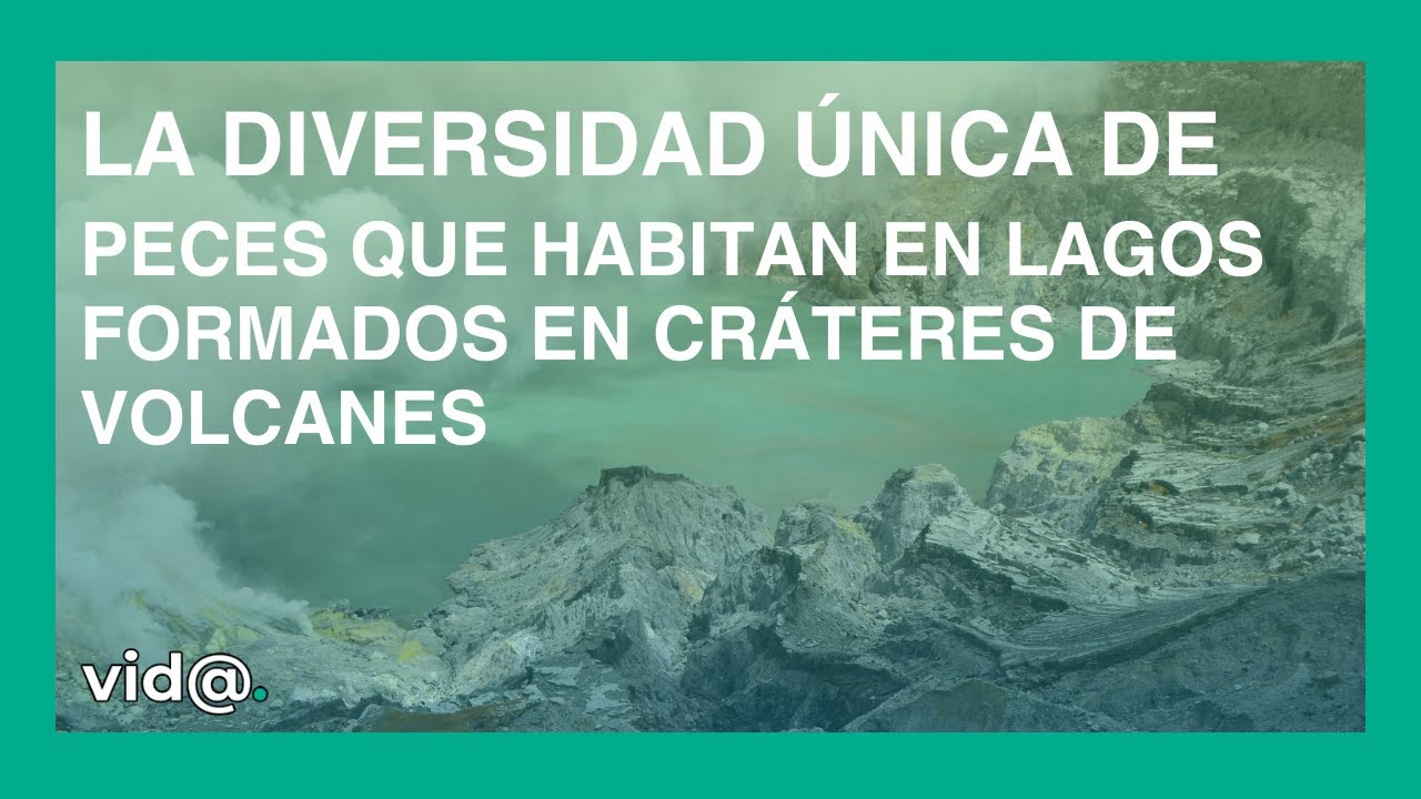 peces que viven en lagos