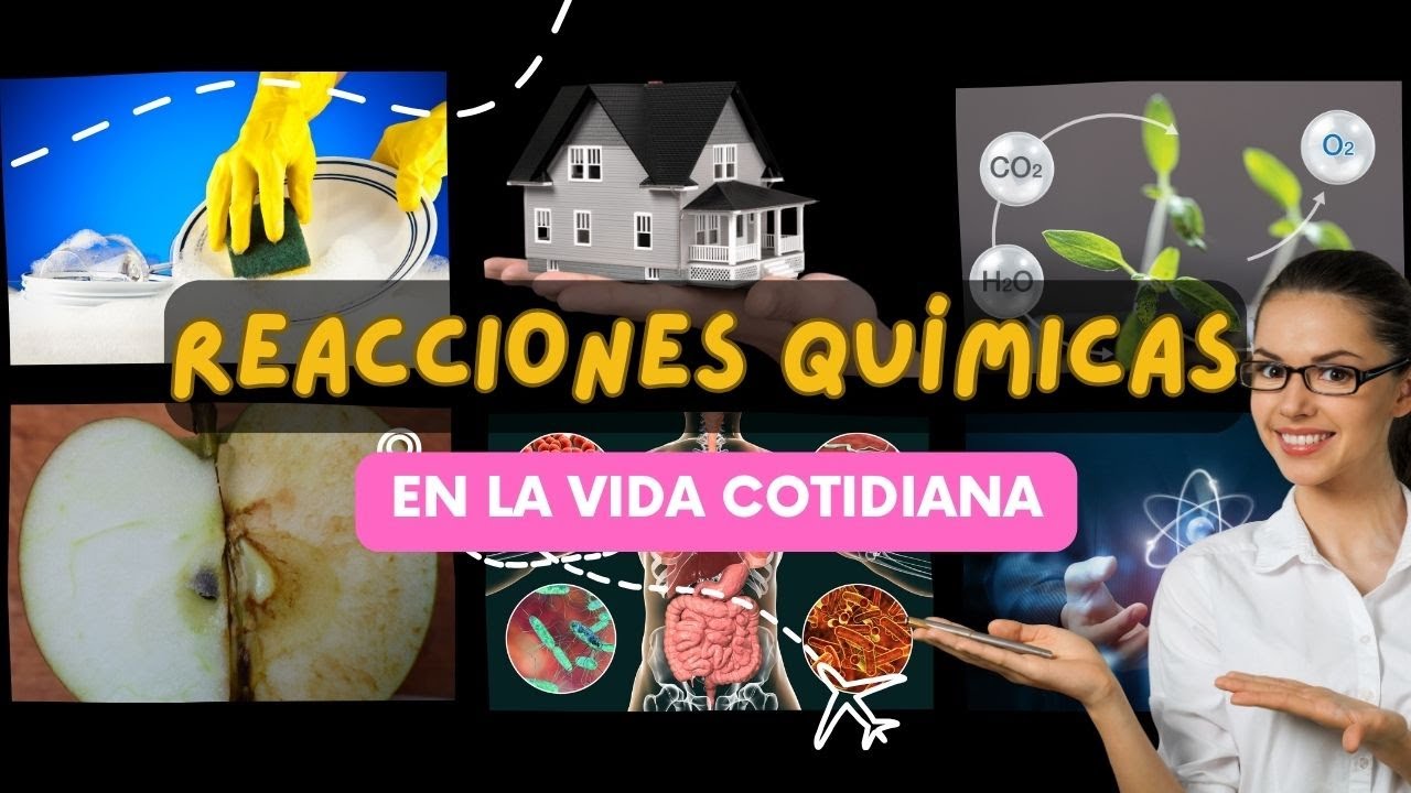 reacciones de la vida cotidiana
