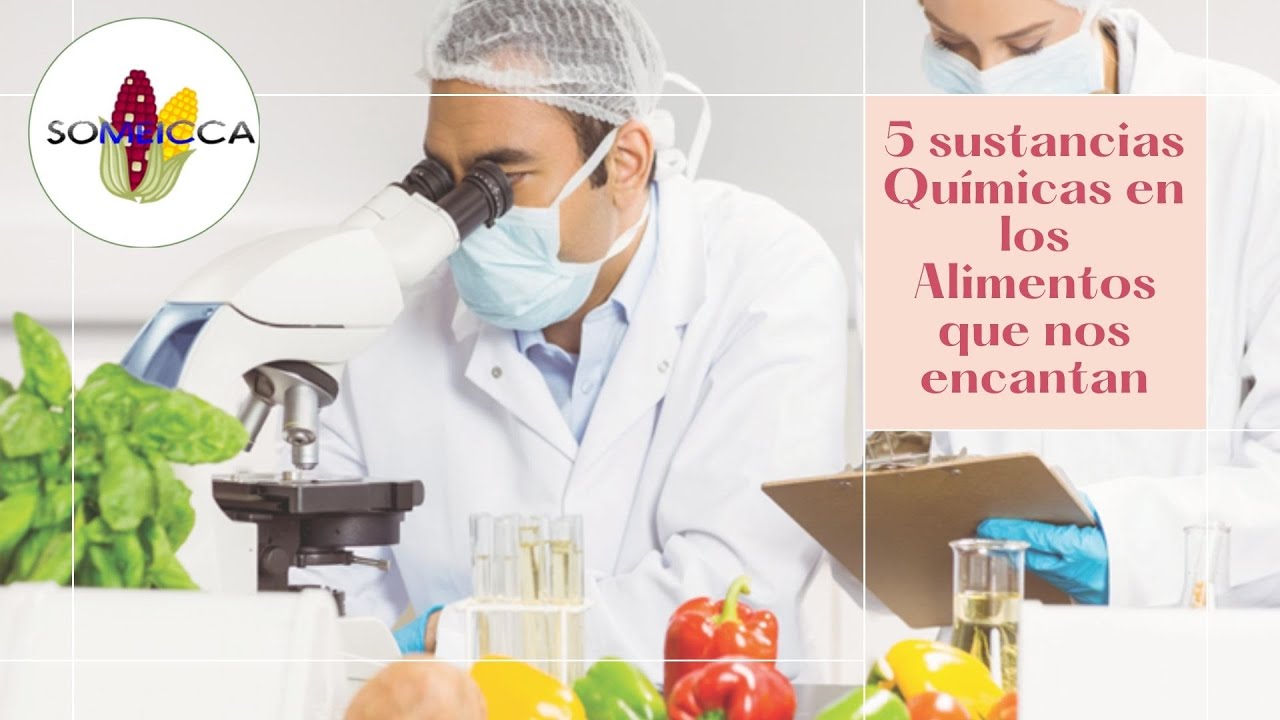alimentos que tengan que ver con la quimica