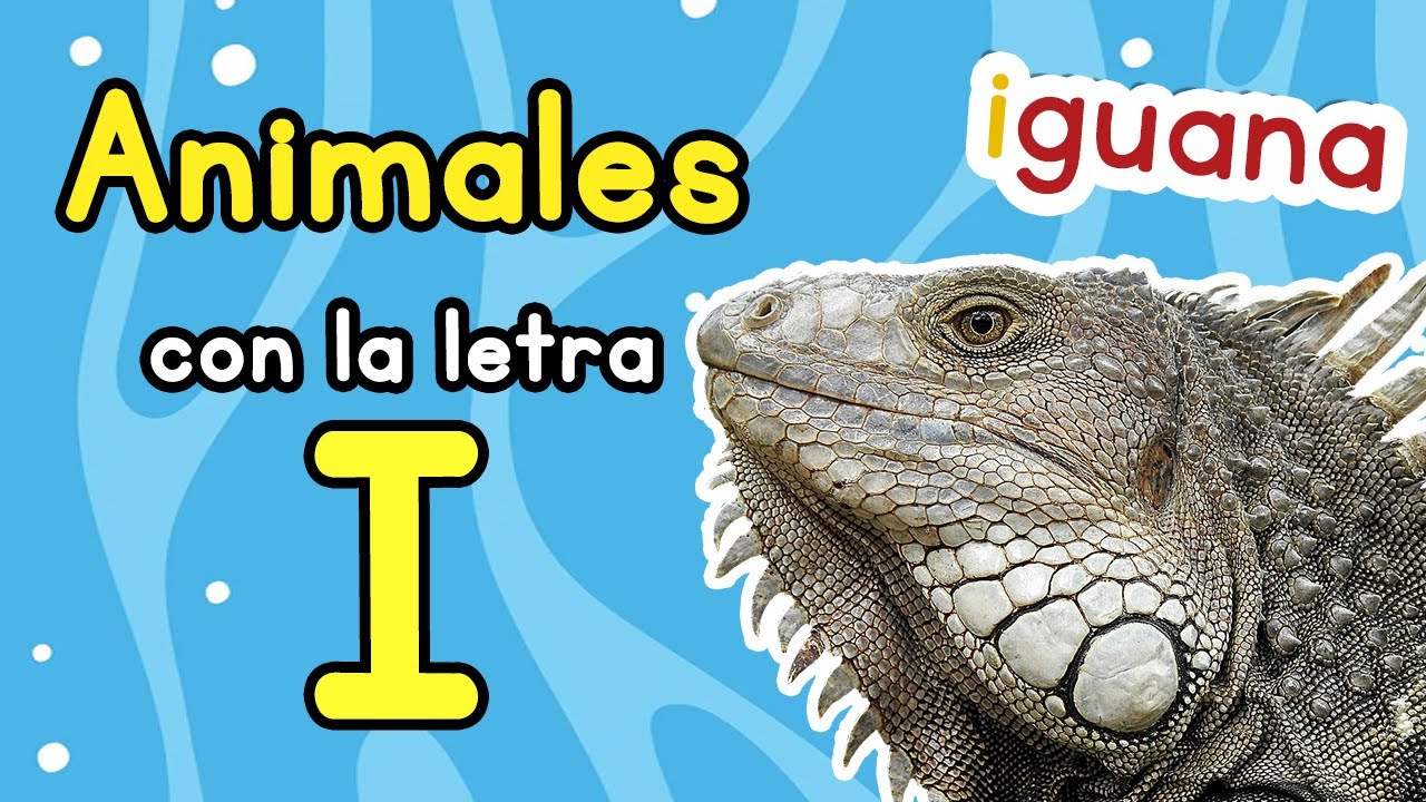 animal q empiece por i