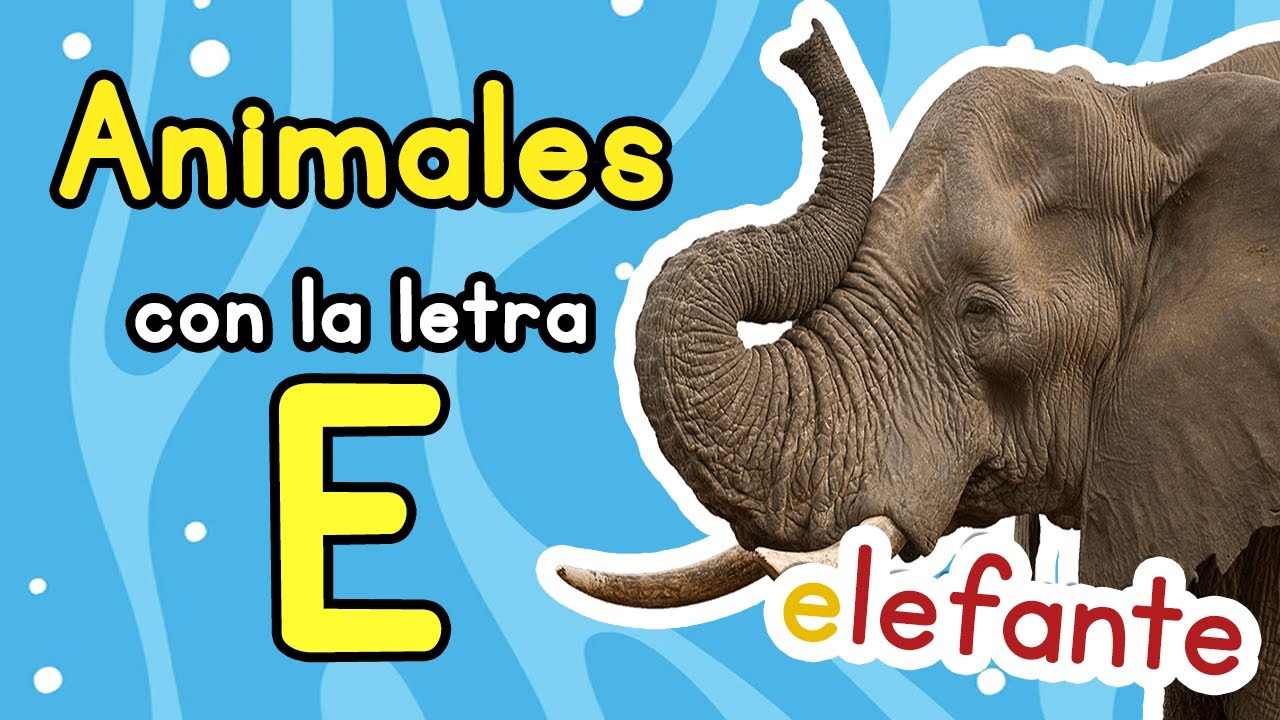 animal que empiece con e