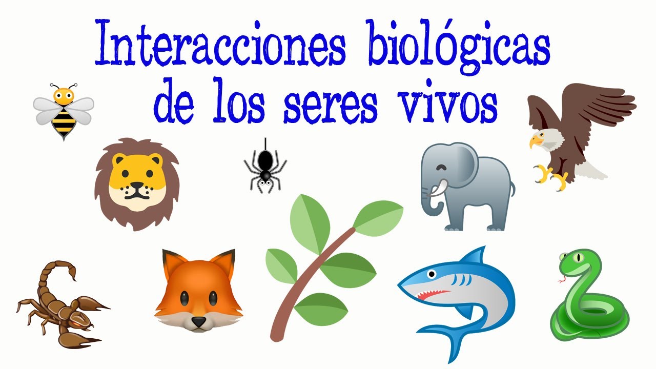 como interactuan las plantas y animales con el medio ambiente