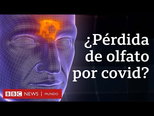 con la gripe se pierde el olfato