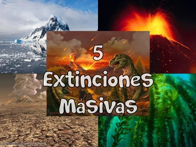 cuáles son las grandes extensiones de la tierra