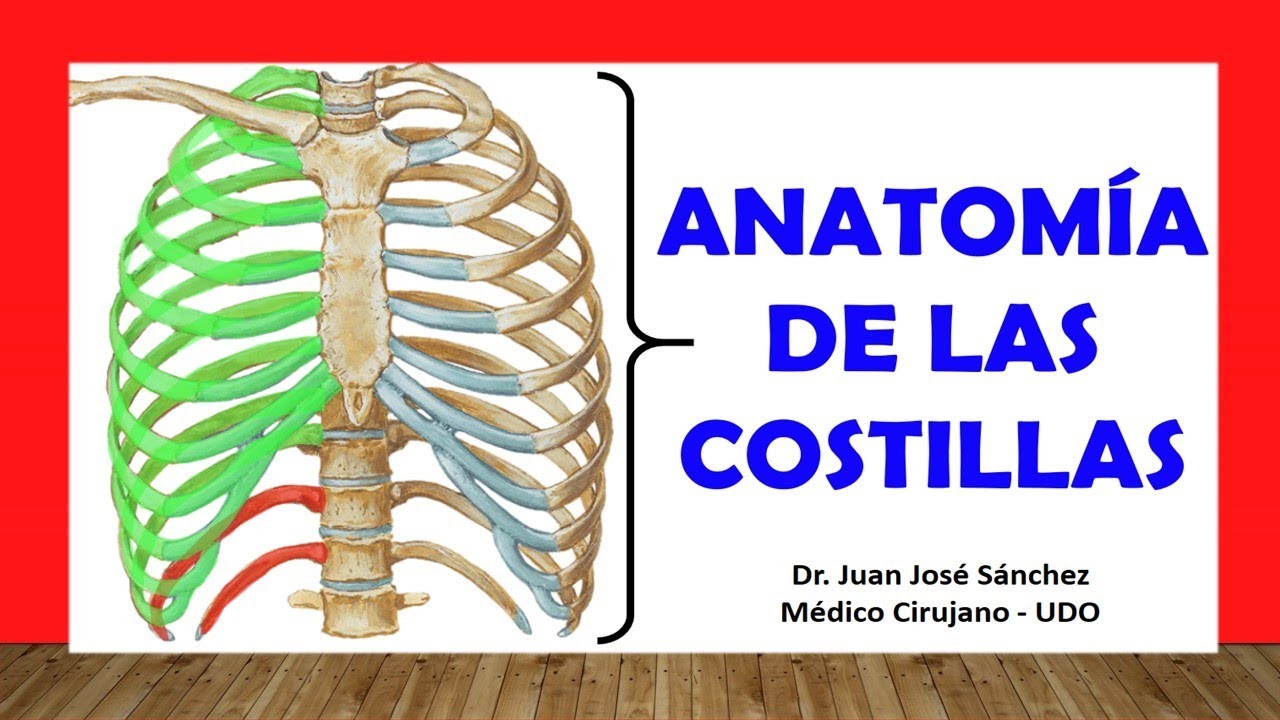 cuantas costilla tiene la mujer
