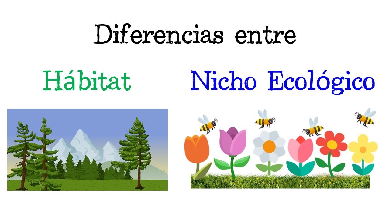 diferencia entre habitat y nicho ecologico