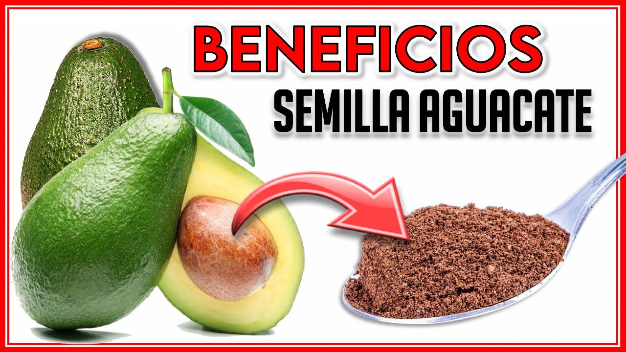 hueso de aguacate para que sirve