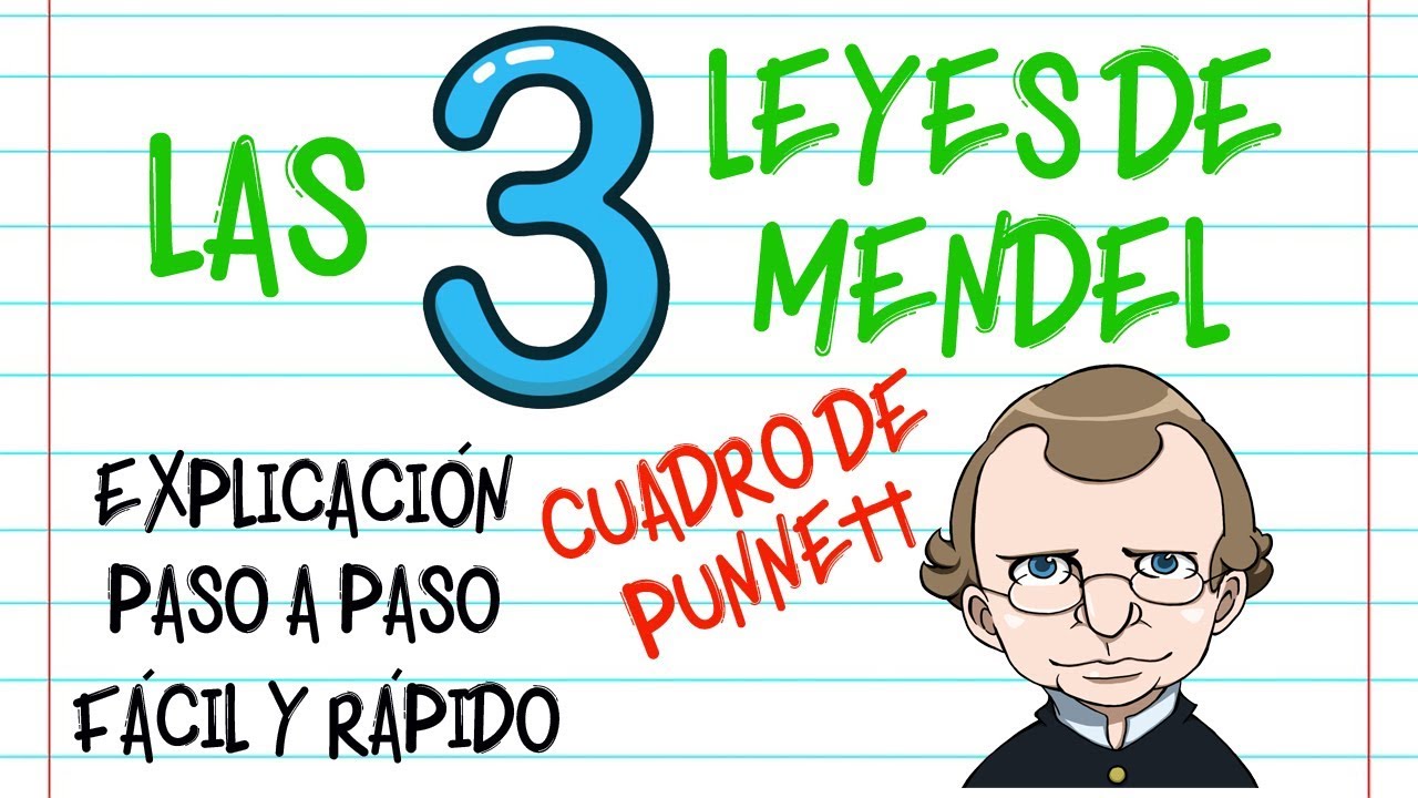 leyes de mendel para niños
