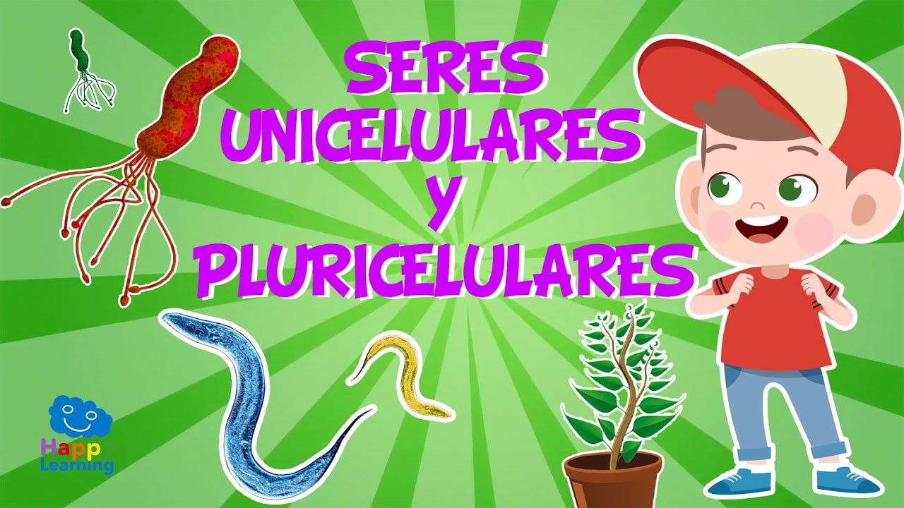los seres vivos están formados por