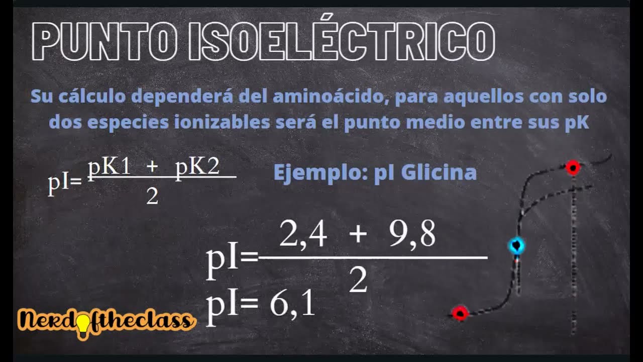 que es el punto isoelectrico