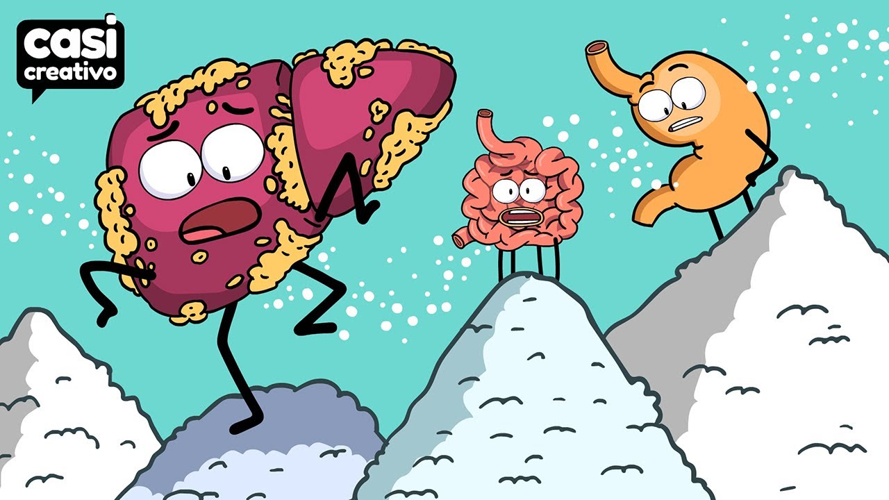 que organo del cuerpo consume mas energia
