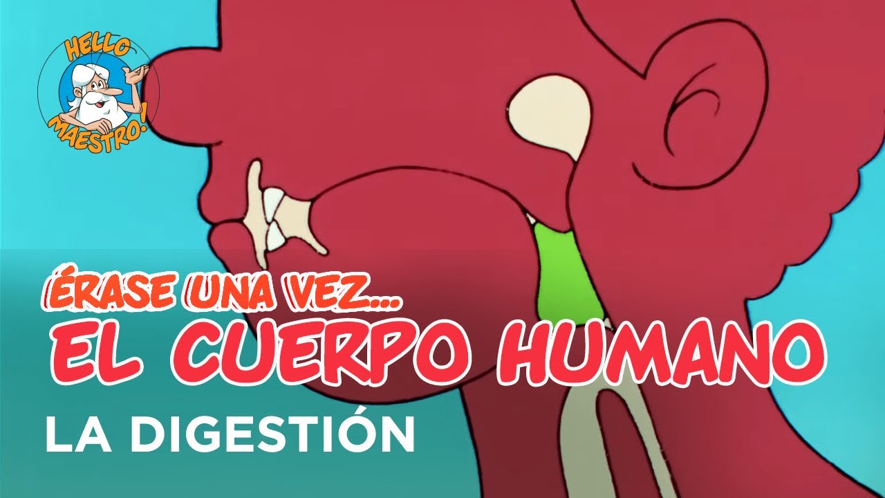 serie erase una vez el cuerpo humano