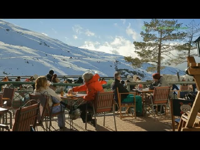 albergue junta de andalucia sierra nevada