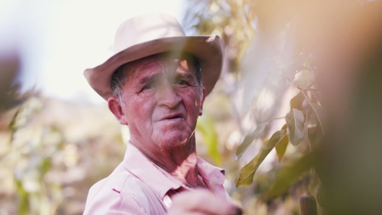 alimentos con mayor huella de carbono