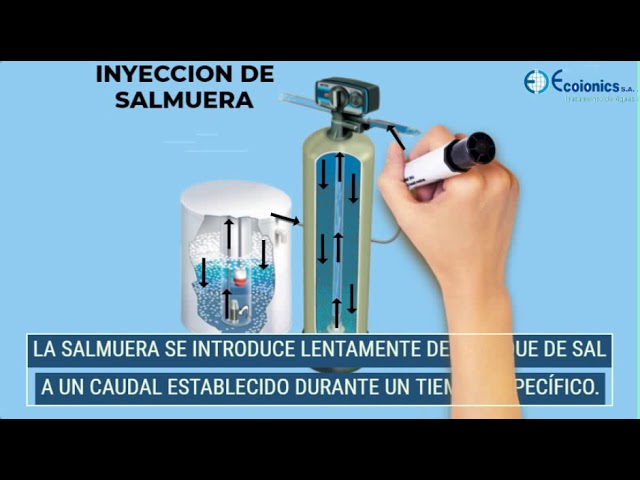 cada cuánto tiempo regenera un descalcificador