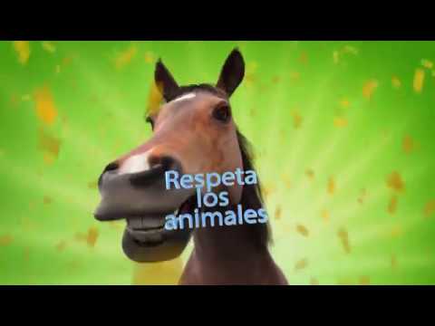 como se llama el sonido del caballo