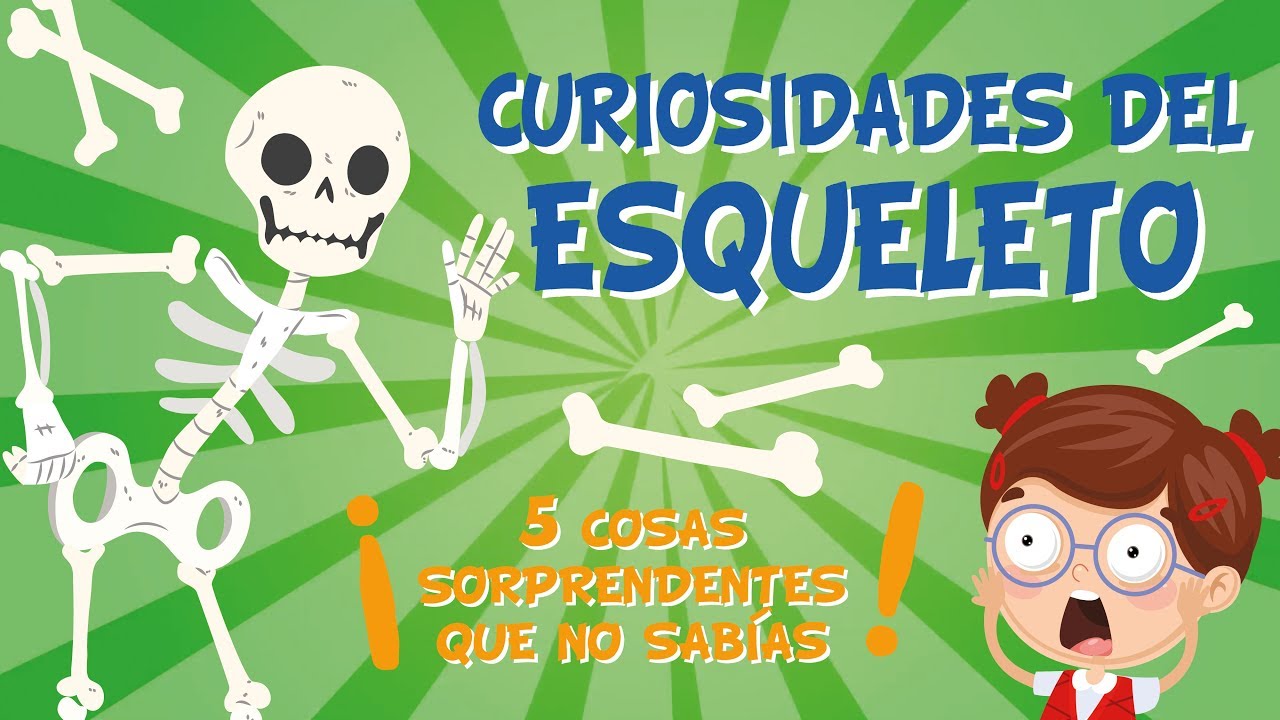 cuál es el hueso más corto del cuerpo humano