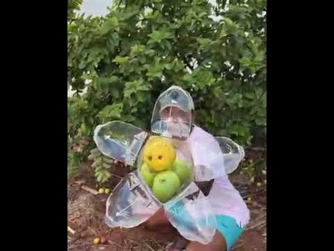 el mejor recogedor de frutas hecho con una botella