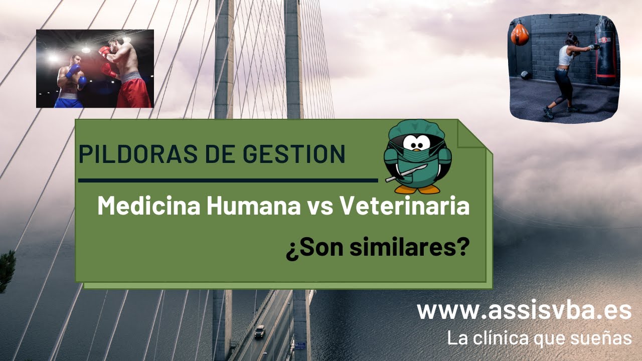 es mas dificil medicina o veterinaria