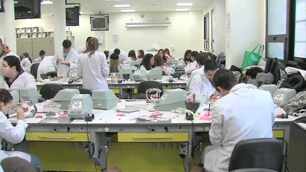 facultad de odontologia universidad de sevilla