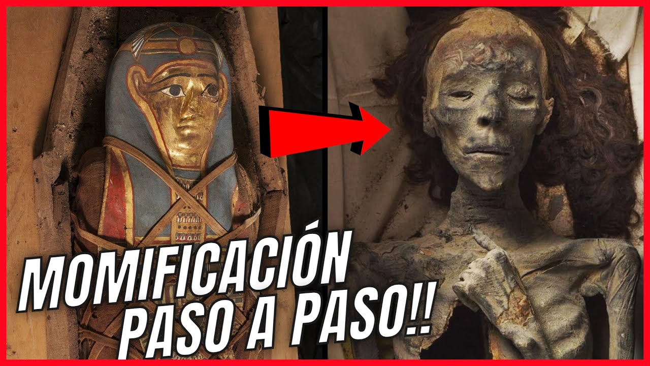 proceso de momificación egipcia paso a paso