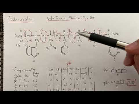 punto isoelectrico de las proteinas