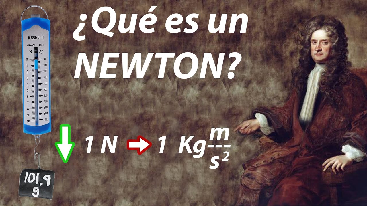 que es el newton en fisica