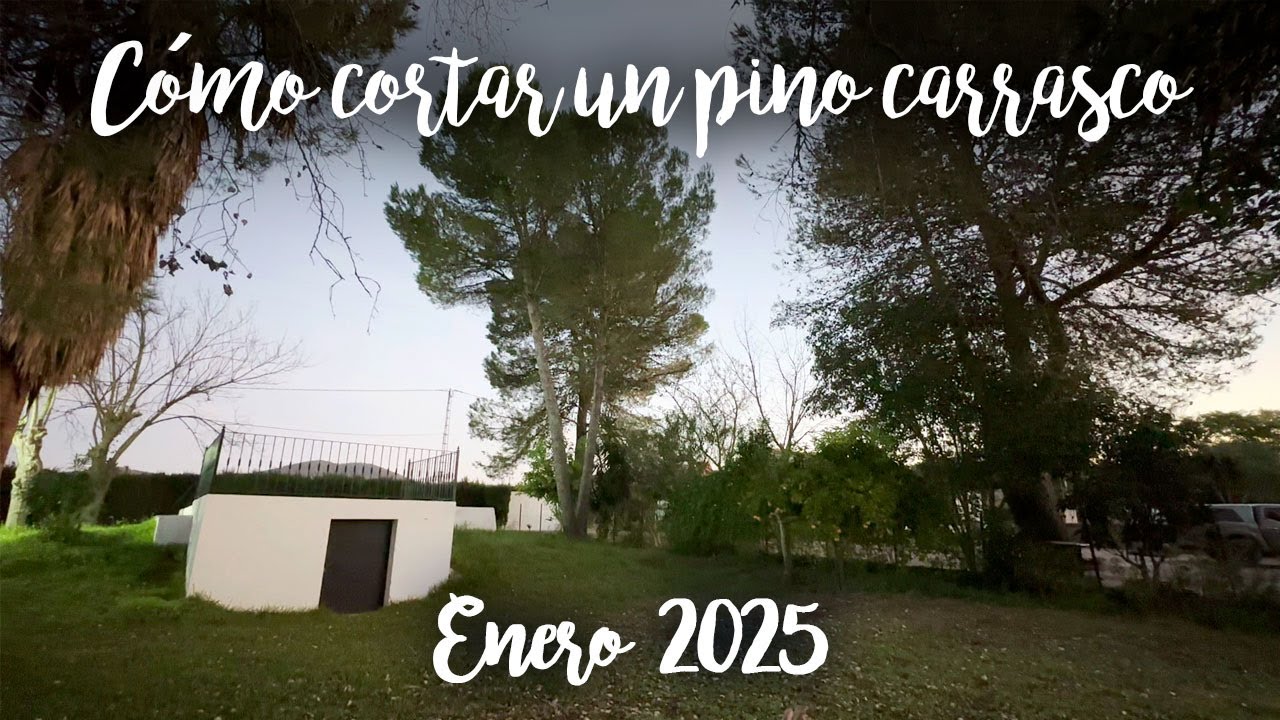 se puede cortar un pino en andalucía