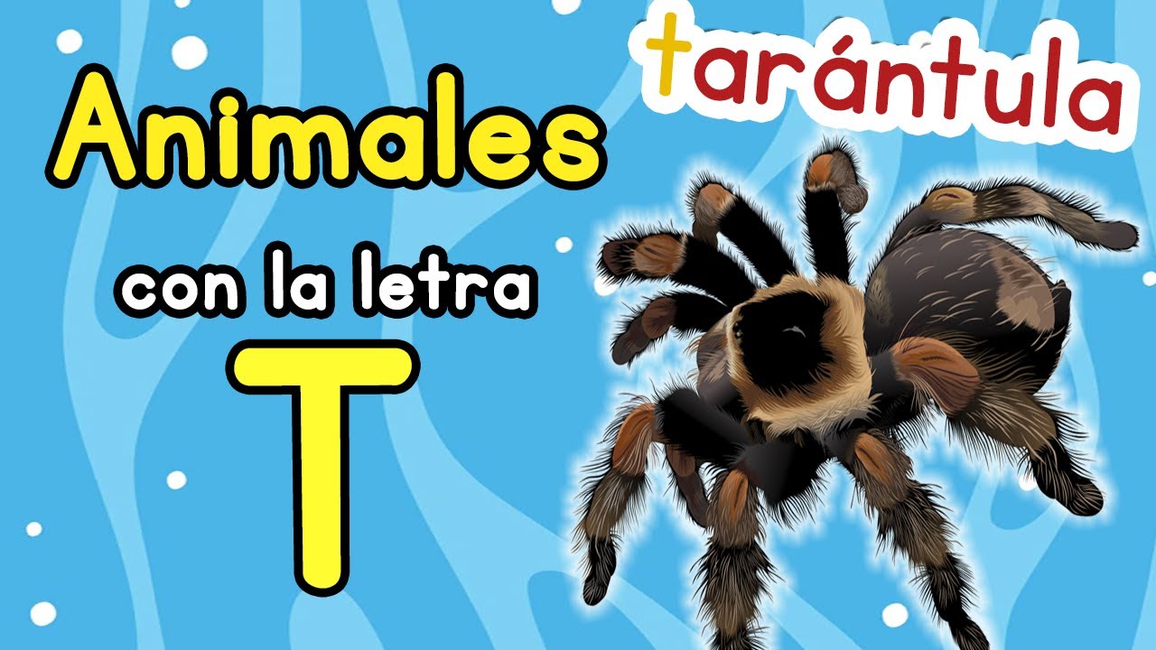 animales que empiecen con la letra t