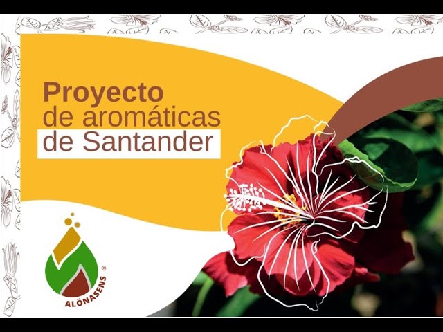 aplicaciones de los fluidos supercríticos en la industria farmacéutica