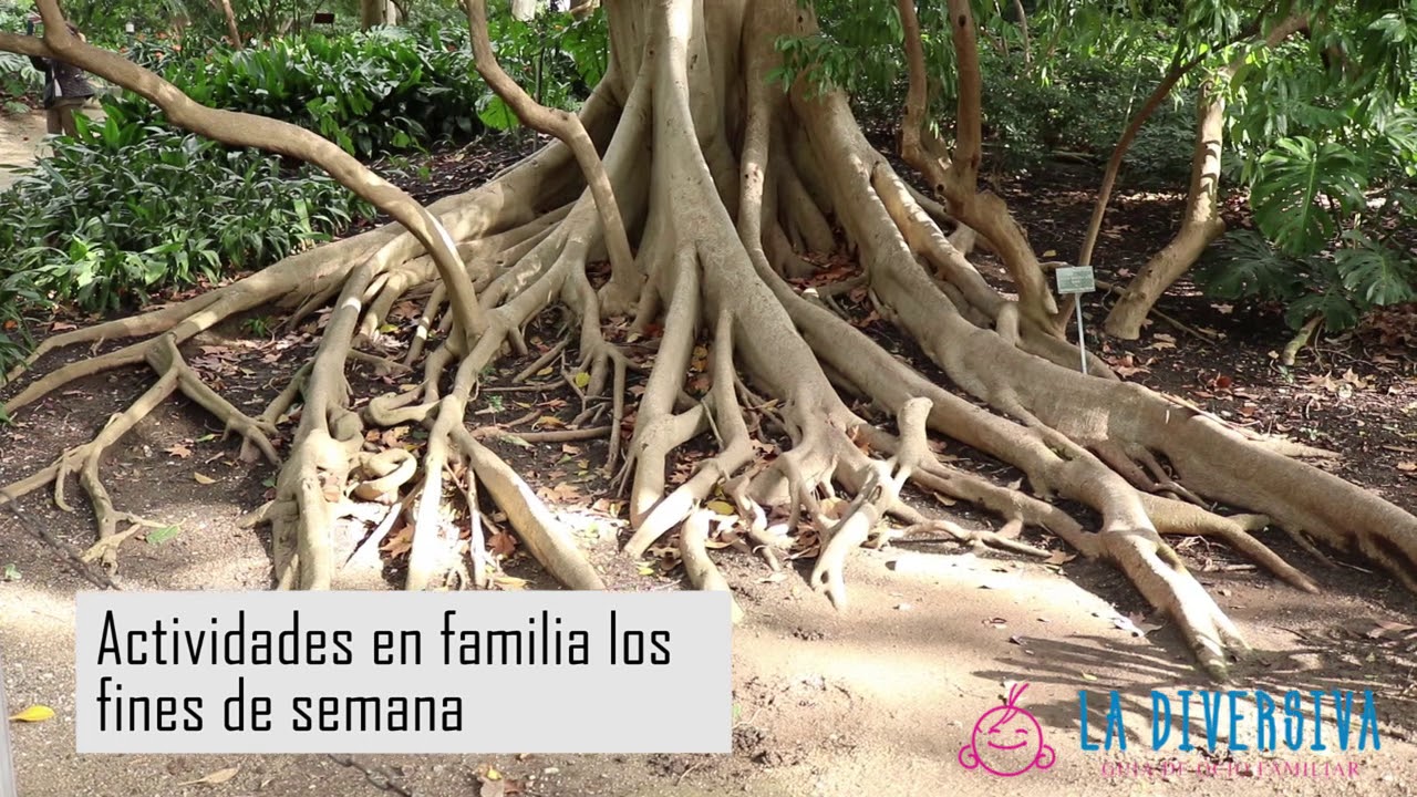 camino del jardín botánico 3 29014 málaga