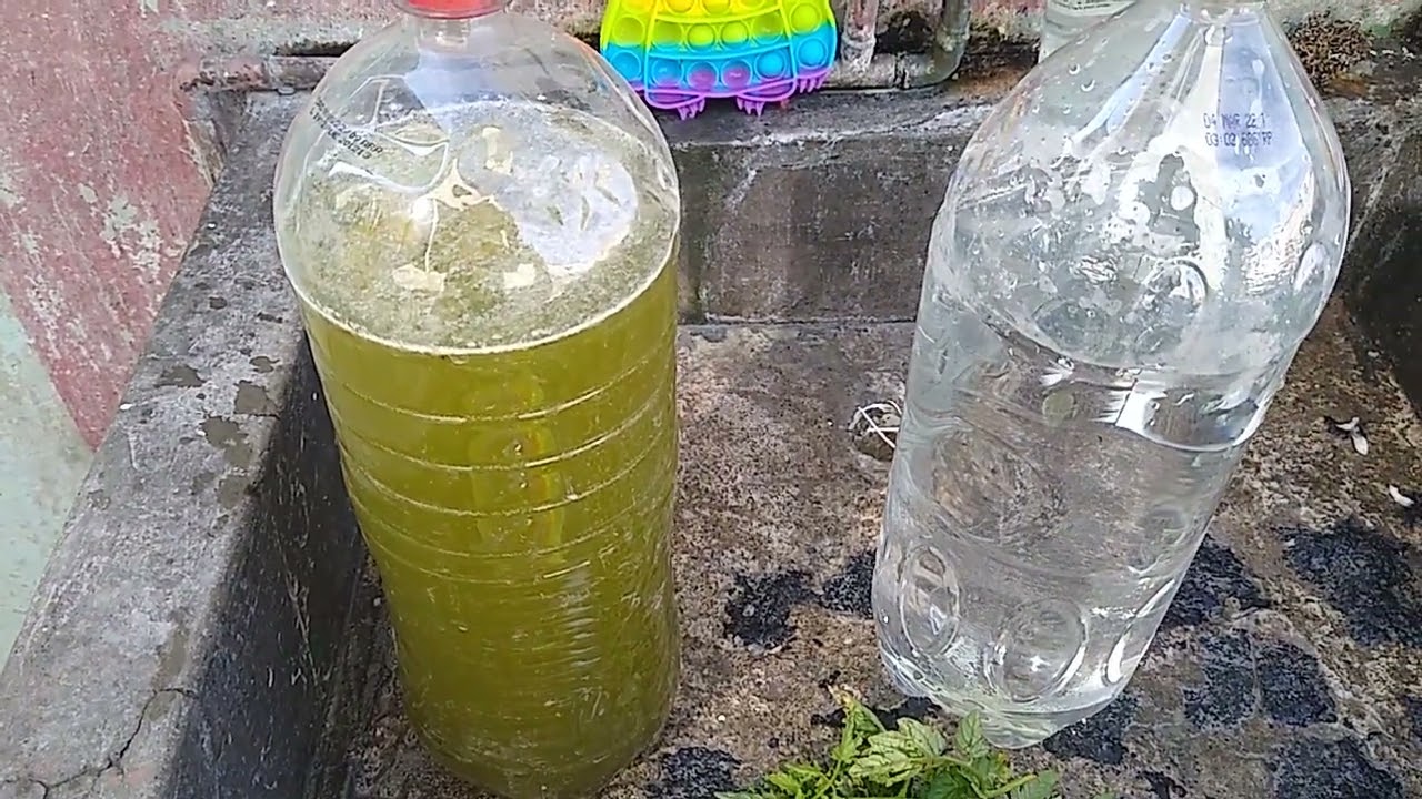 como aportar nitrogeno a las plantas