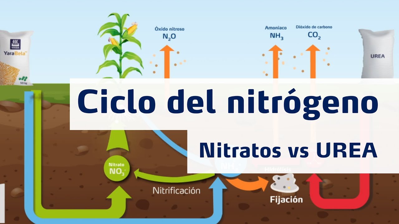 como se produce la urea fertilizante