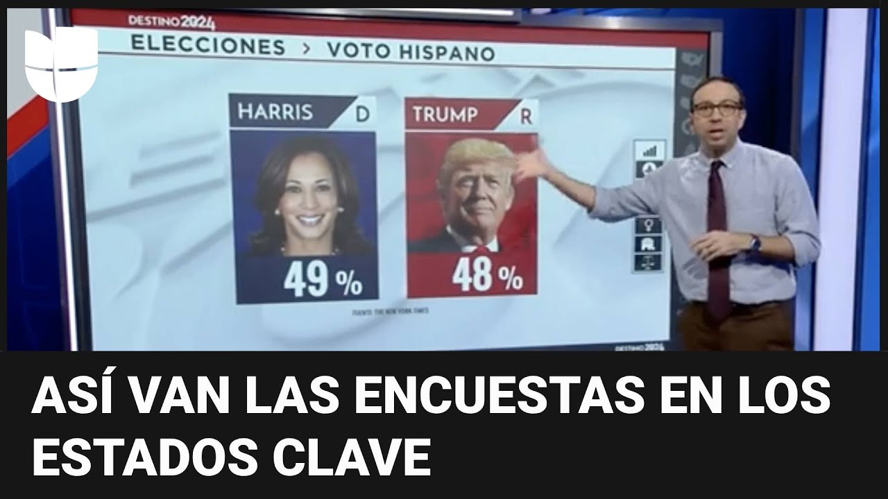 como va el sondeo de las elecciones