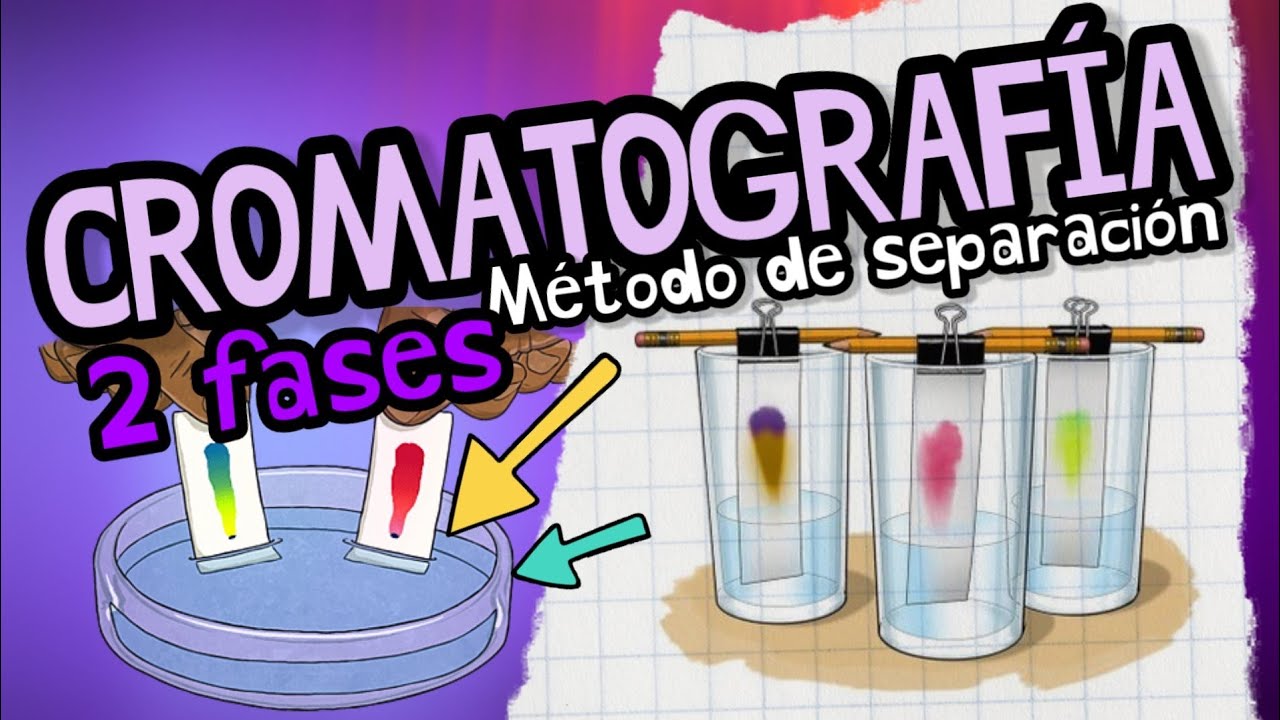 cromatografía en papel para que sirve
