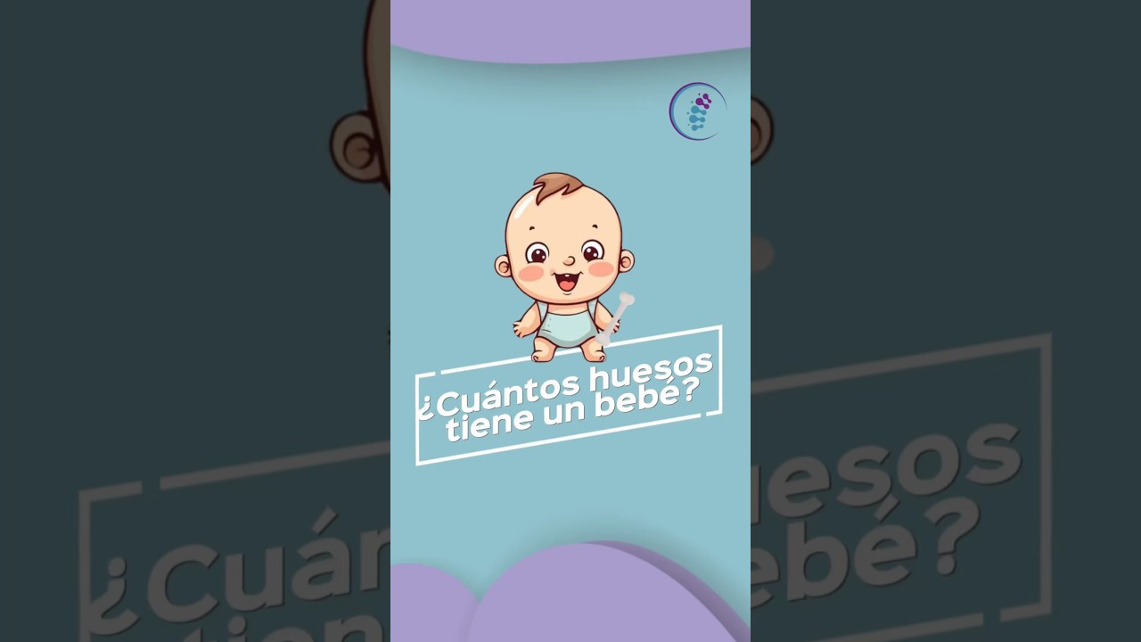 cuantos huesos tiene un adulto y un bebe