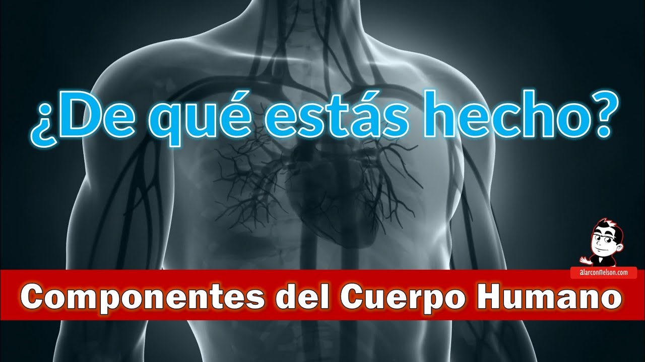 de qué están hechas las personas
