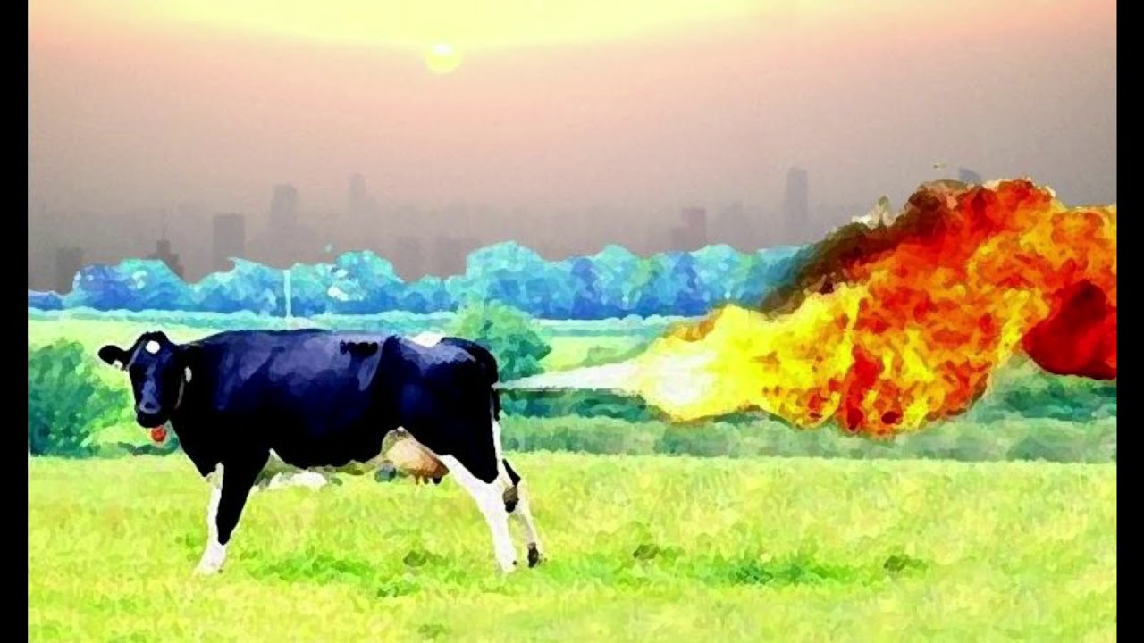 el metano y el medio ambiente