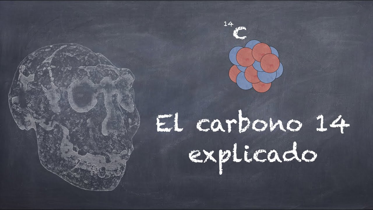 en que consiste la prueba del carbono 14