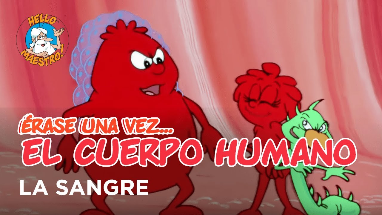 erase una vez el cuerpo humano la sangre