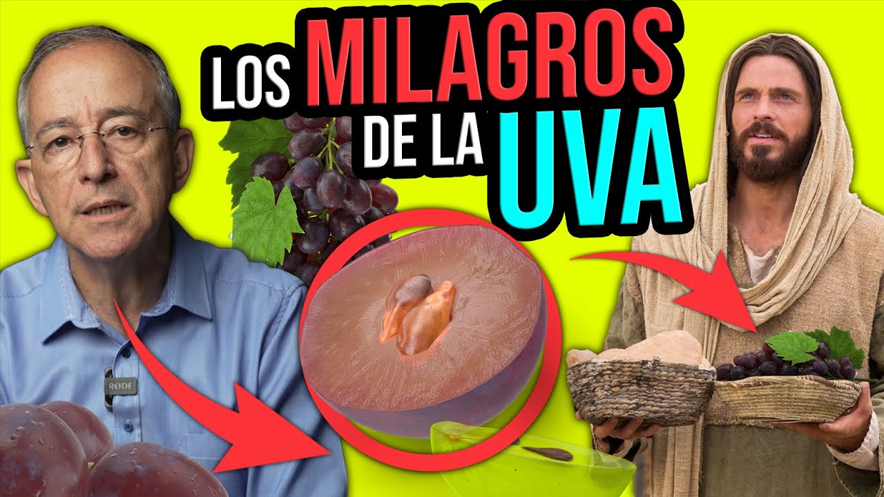 extracto de semilla de uva propiedades