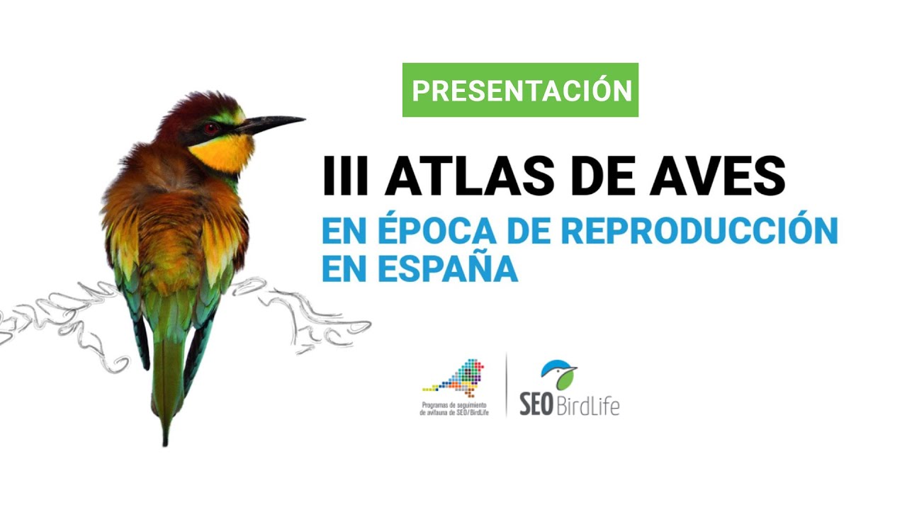 iii atlas de aves en época de reproducción en españa