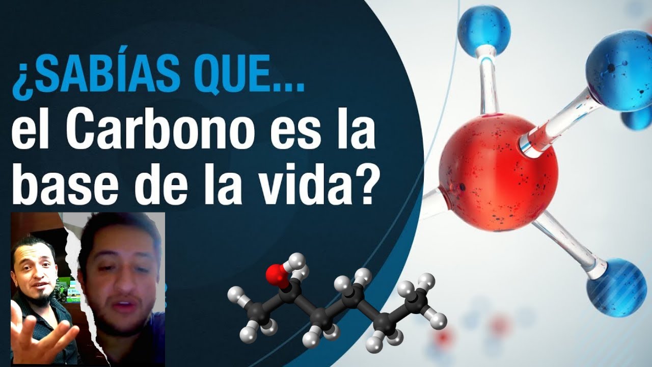 porque el carbono es la base de la vida