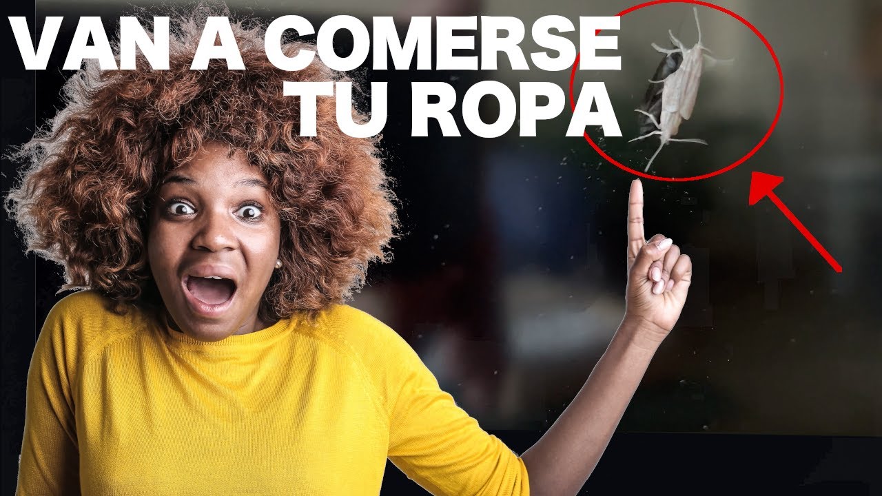 sólido blanco utilizado contra las polillas