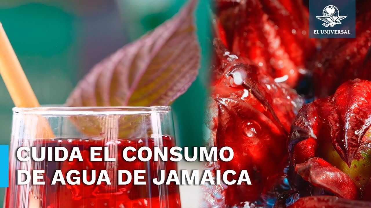 baña las costas de jamaica