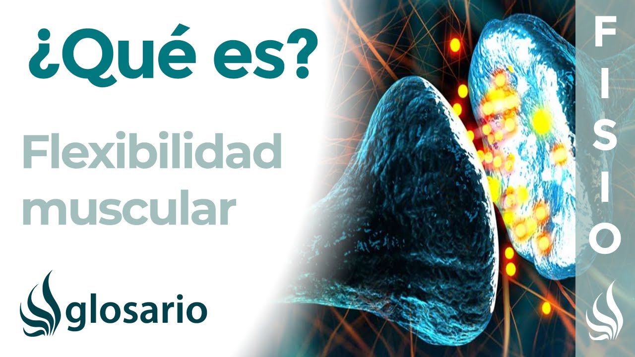 factores que condicionan la flexibilidad
